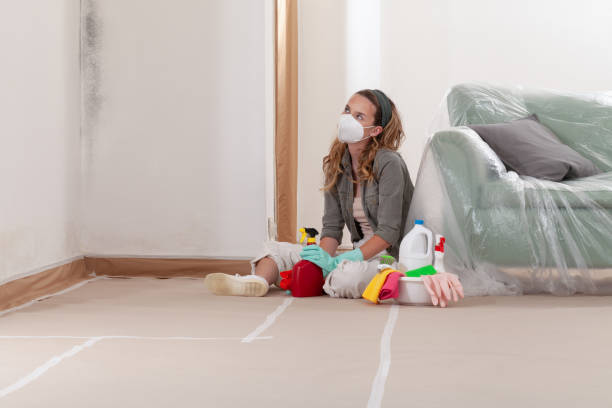 Reliable Mold Remediation contractor in Battlement Mesa, CO by 24 Hour Mold Removal